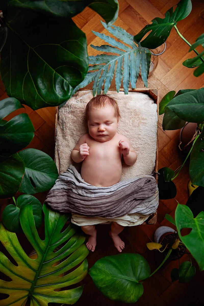 MOIN BABY Neugeborenenfotografie Bild 2