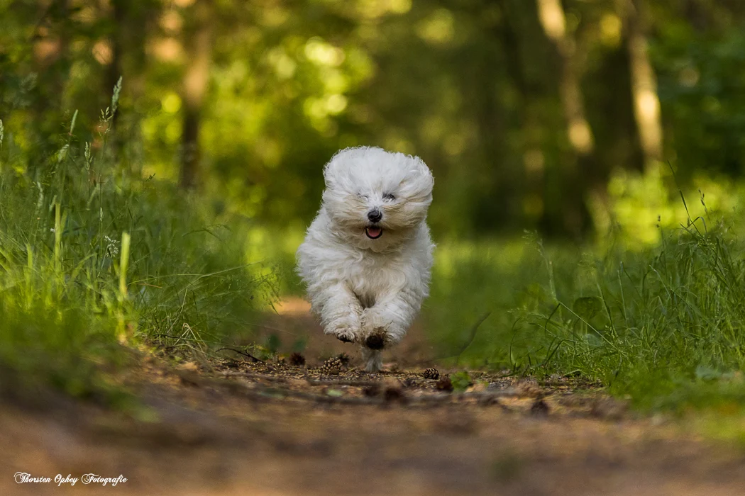 Aufnahme von Thorsten Ophey Fotografie